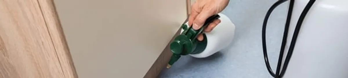 Bed bug exterminator treating baseboards and cracks with targeted spray in Spokane, WA