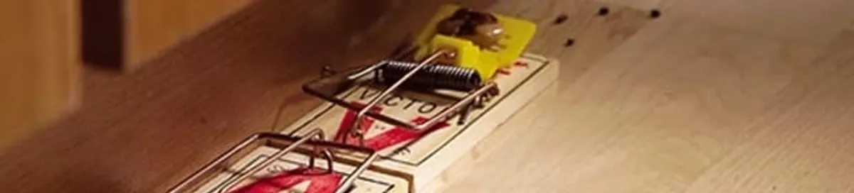Rodent trap set indoors for rodent control and prevention in Spokane, WA